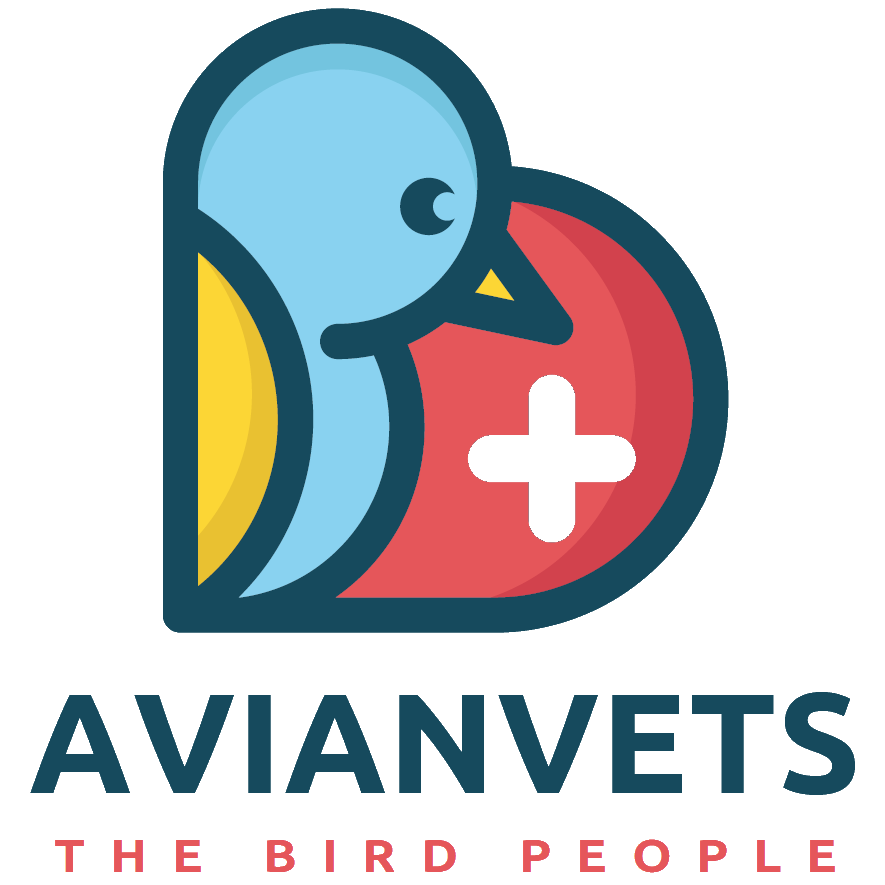 AvianVets.org