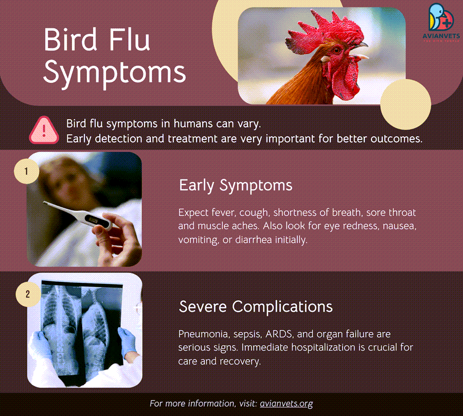bird flu symptoms in humans