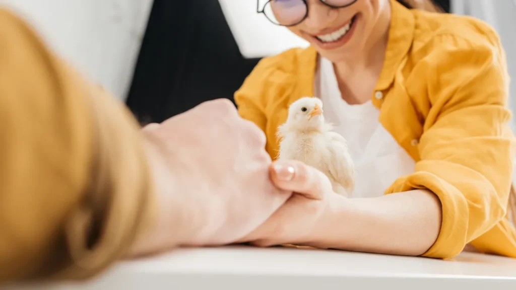 A curious young bird making eye contact with the camera